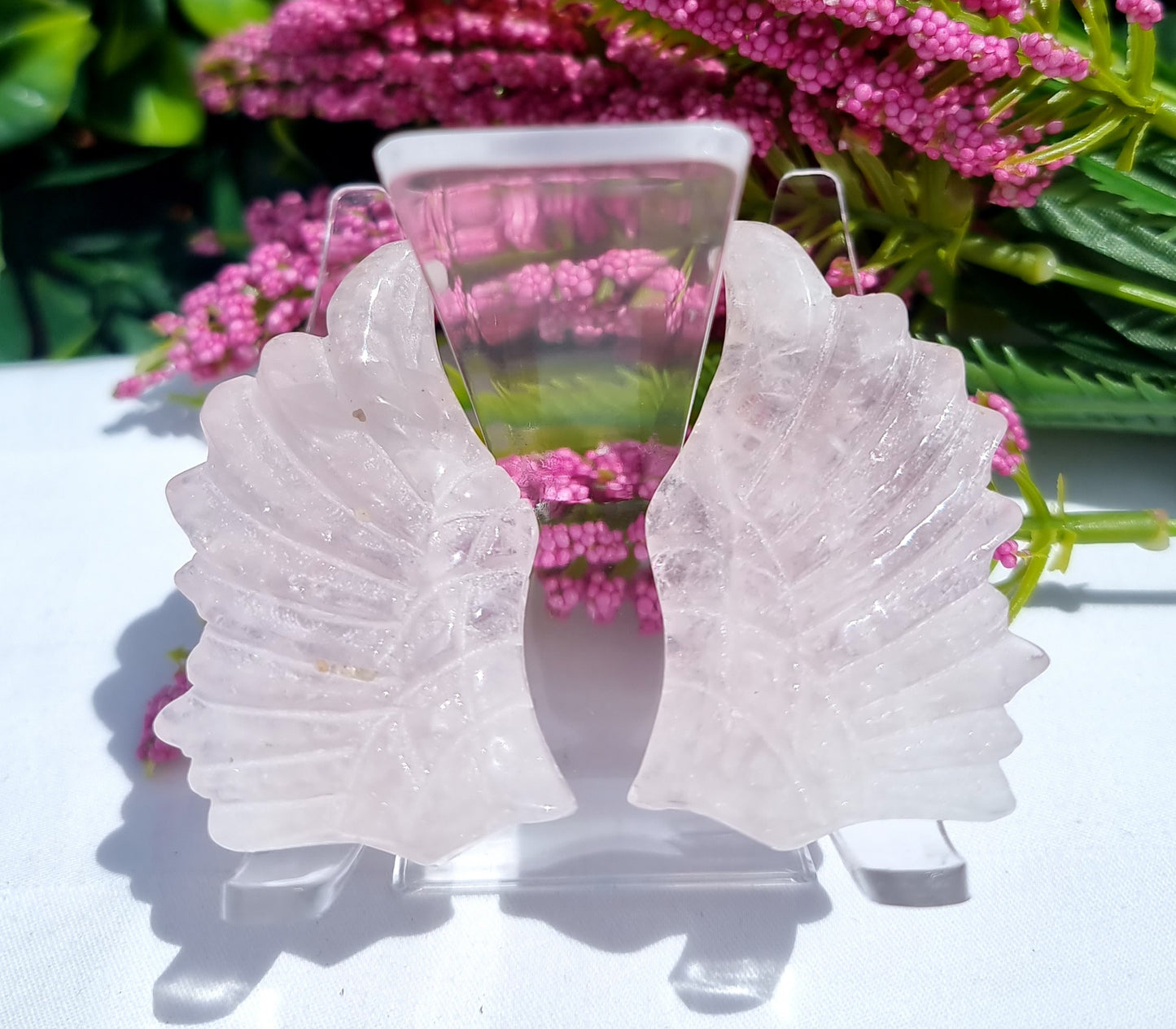 Angel Wing Set