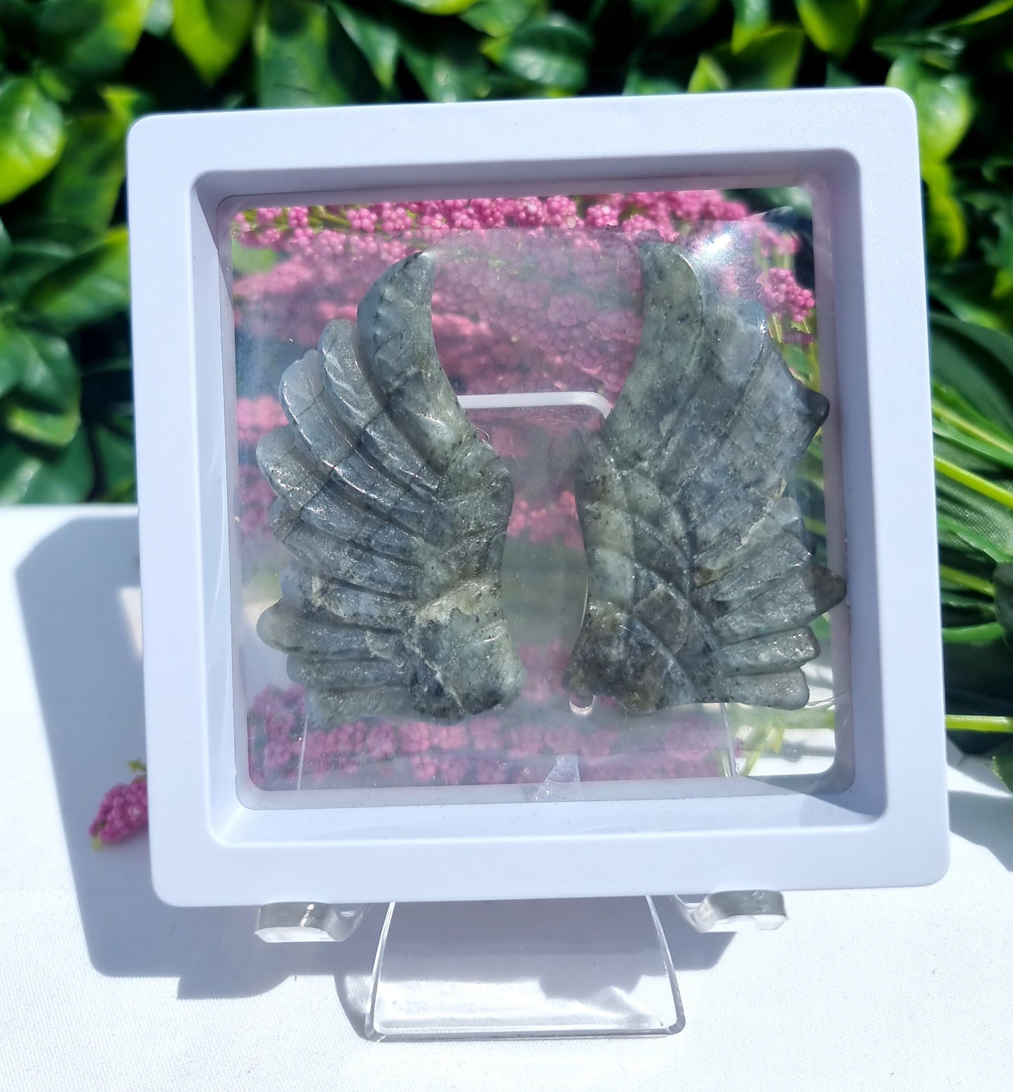 Angel Wing Set