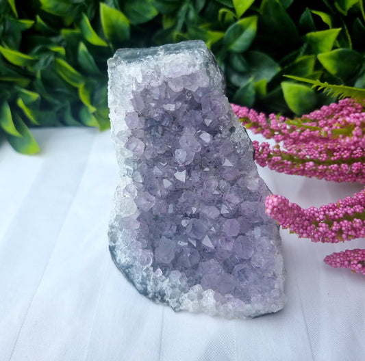 Amethyst Standing Cluster