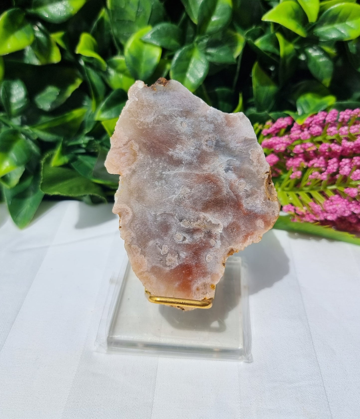 Pink Flower Agate Slice