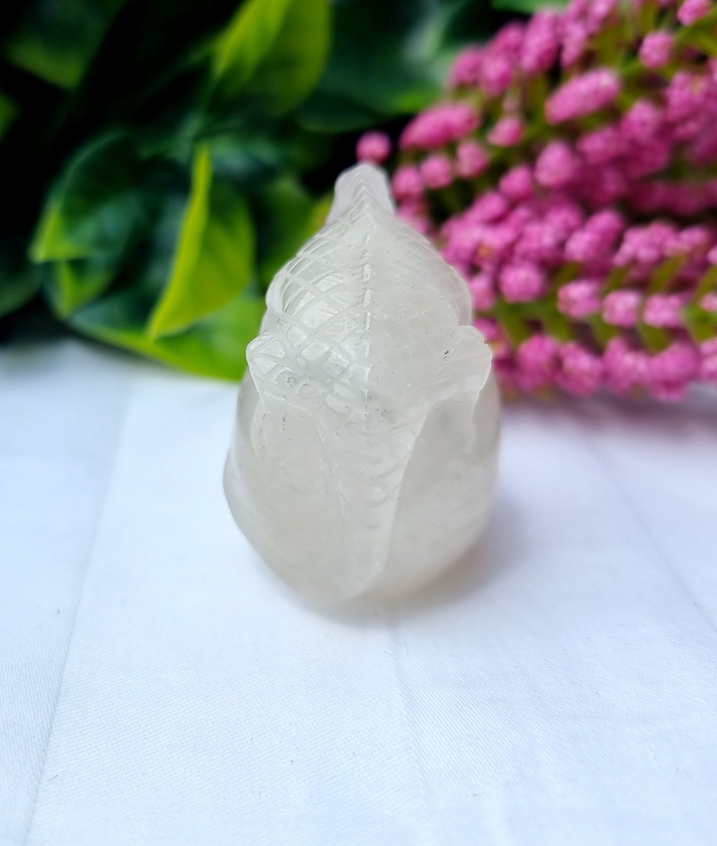 Clear Quartz Lizard Skull