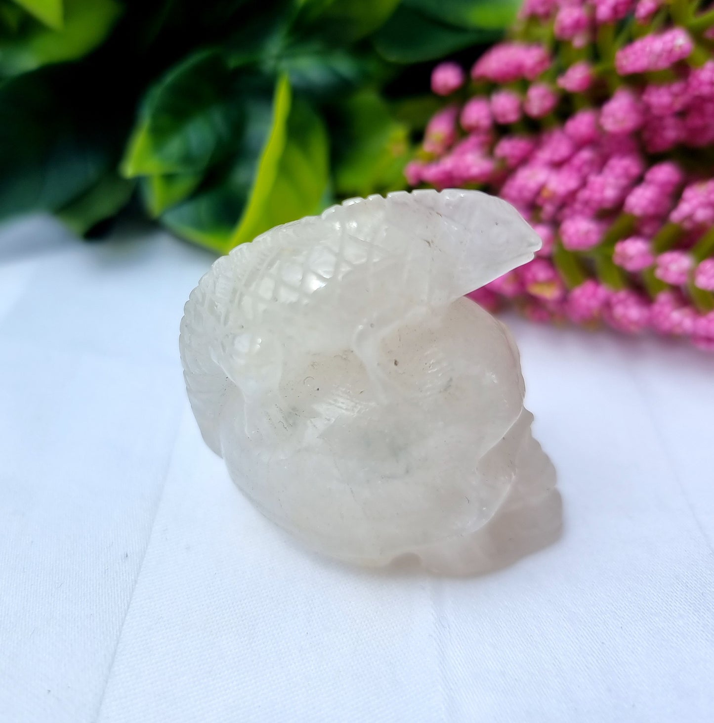 Clear Quartz Lizard Skull