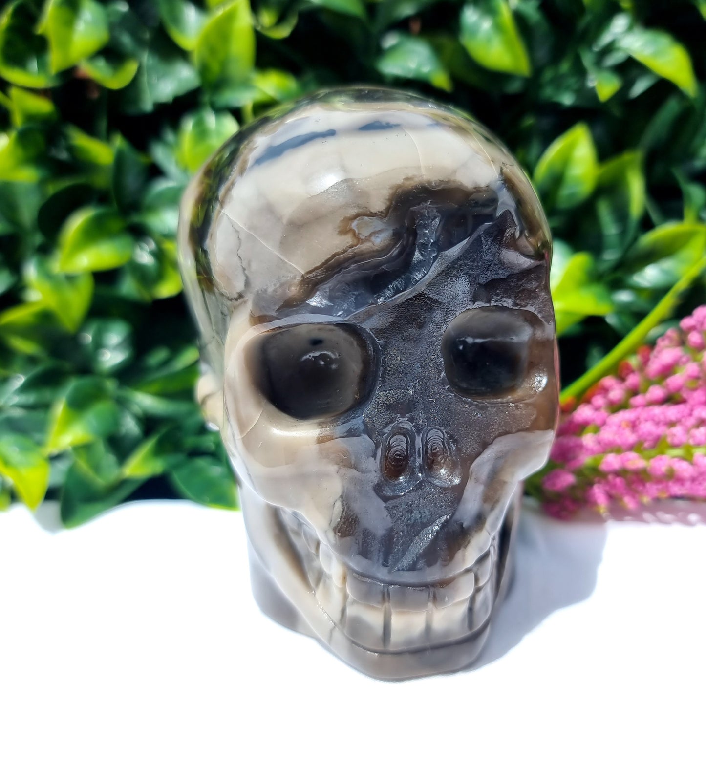 Volcano Agate Skull