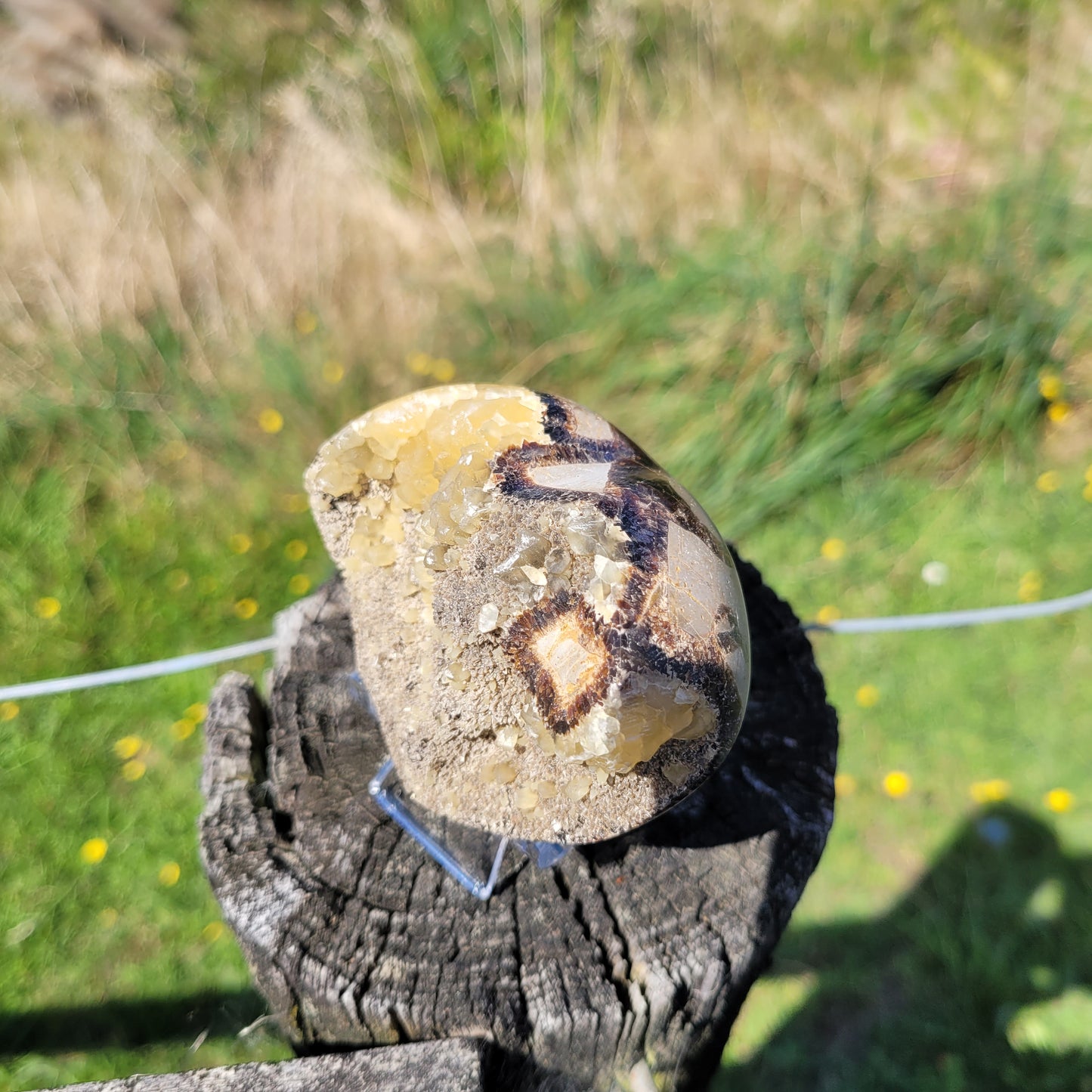 Septarian Heart