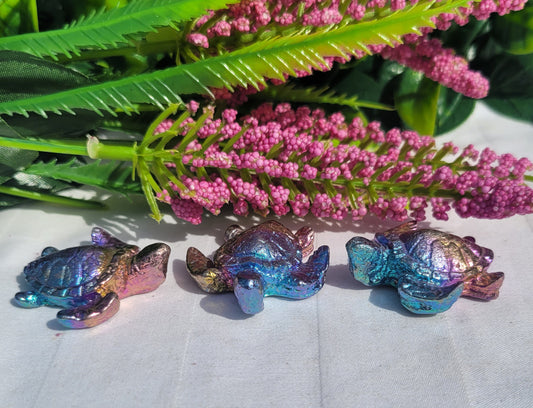 Bismuth Turtles