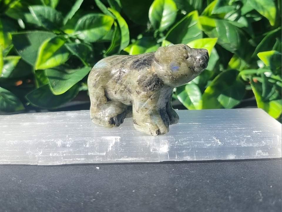 Crystal Bears