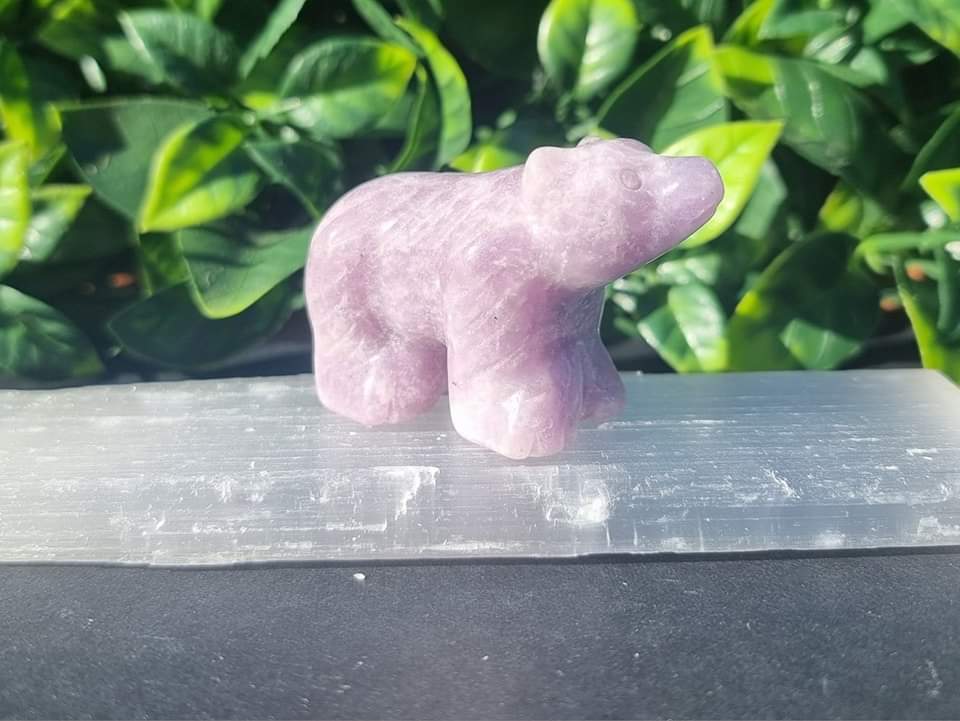 Crystal Bears