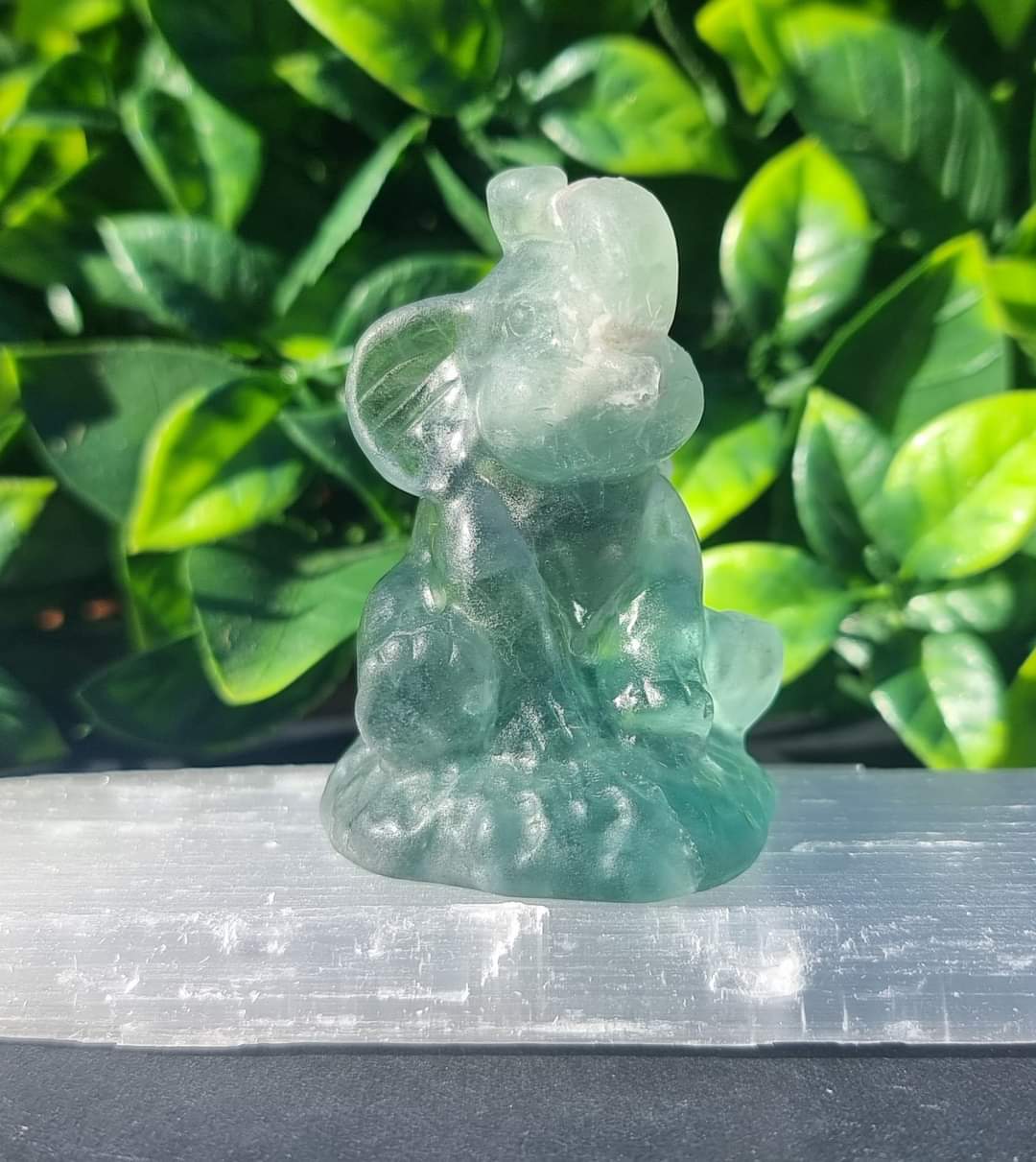 Crystal Sitting Elephants