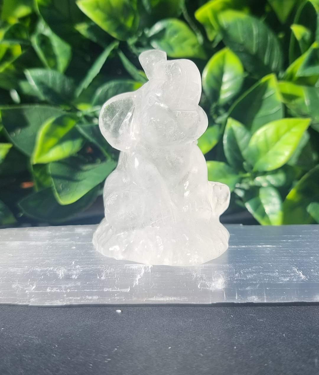 Crystal Sitting Elephants