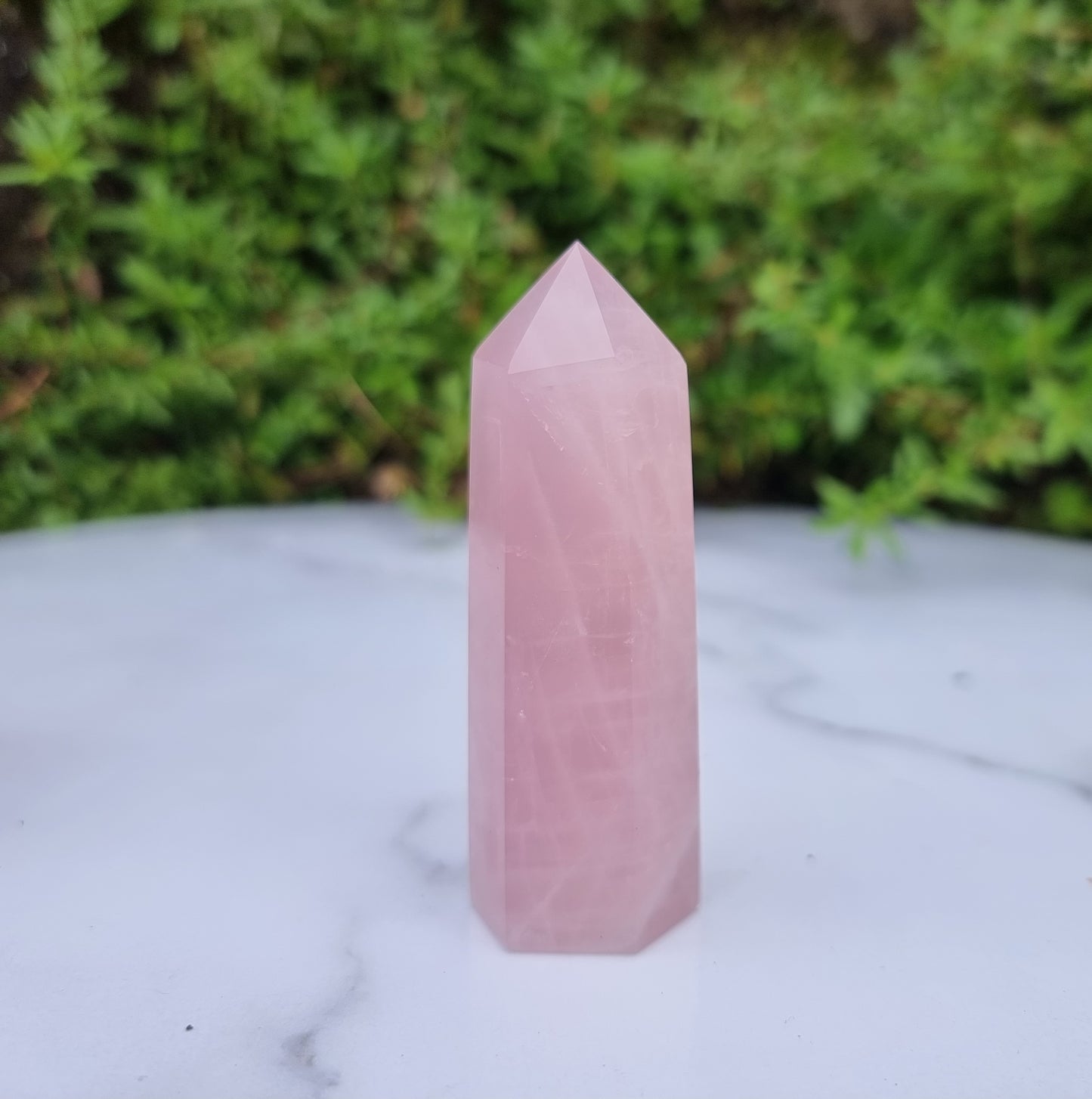 Rose Quartz Points