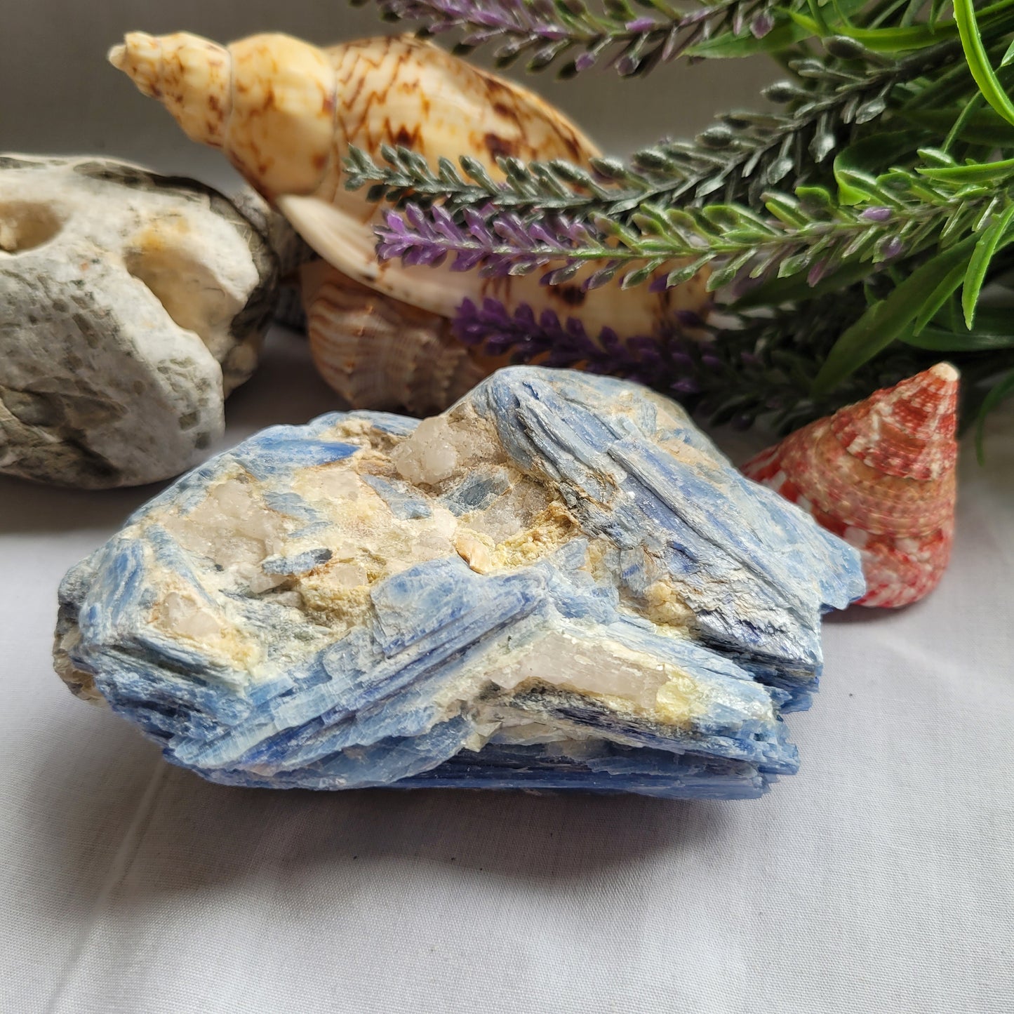 Blue Kyanite Raw Specimen