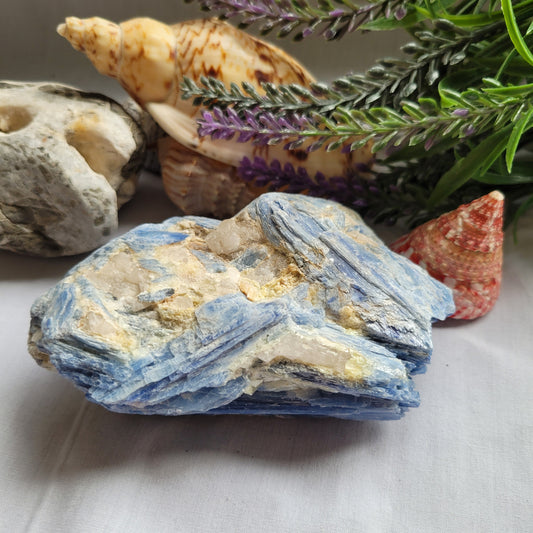 Blue Kyanite Raw Specimen