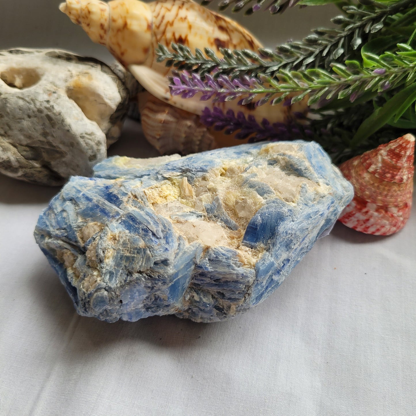 Blue Kyanite Raw Specimen