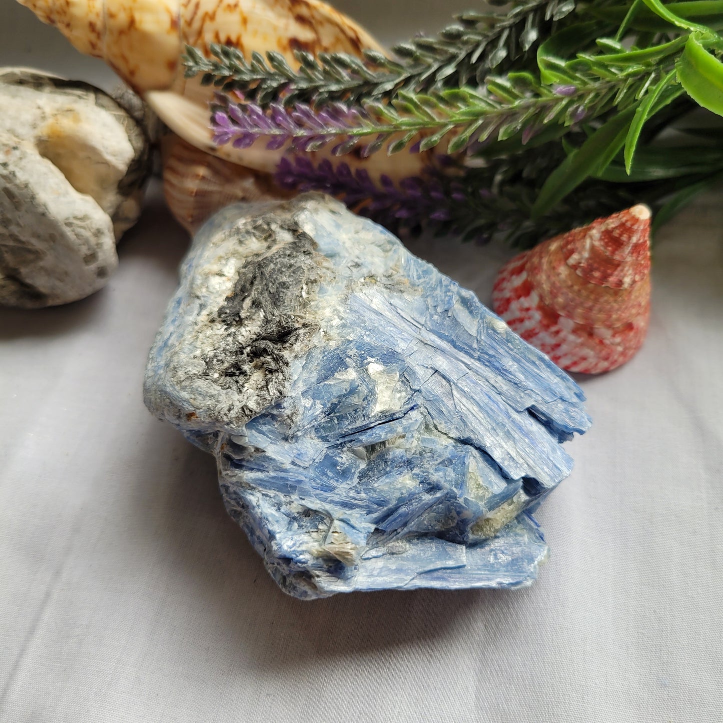 Blue Kyanite Raw Specimen