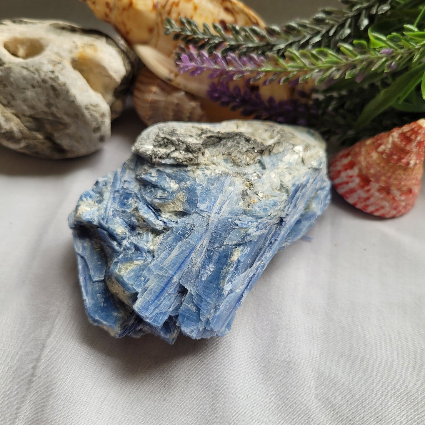 Blue Kyanite Raw Specimen