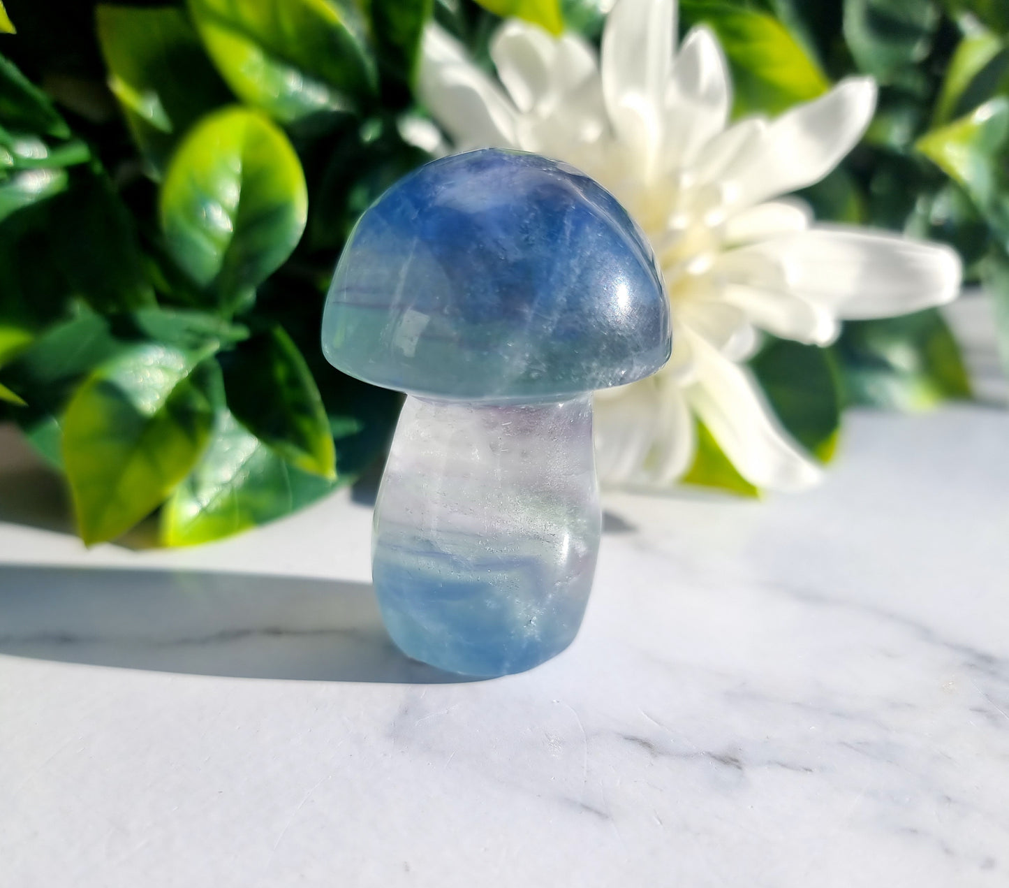 Fluorite Mushroom