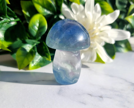 Fluorite Mushroom