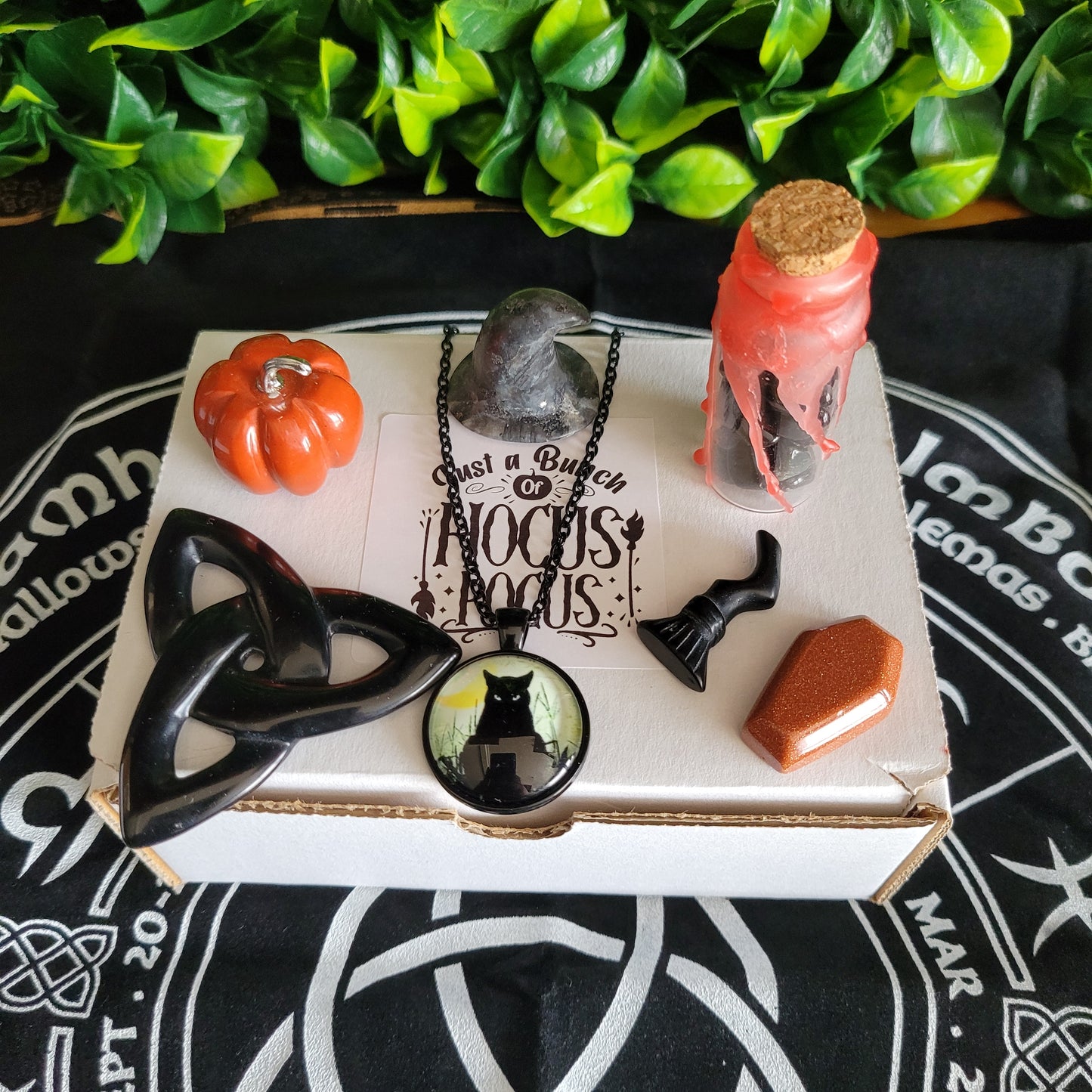 Hocus Pocus Box Set