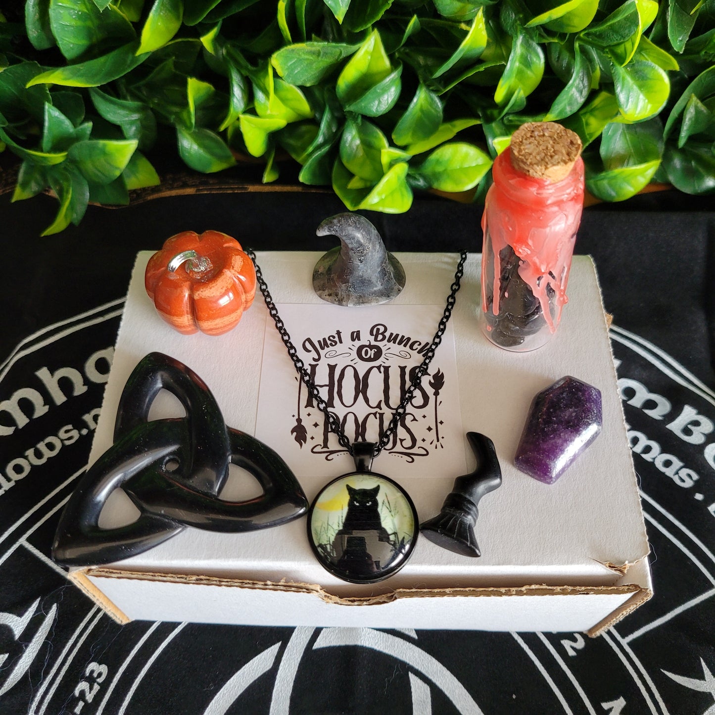 Hocus Pocus Box Set