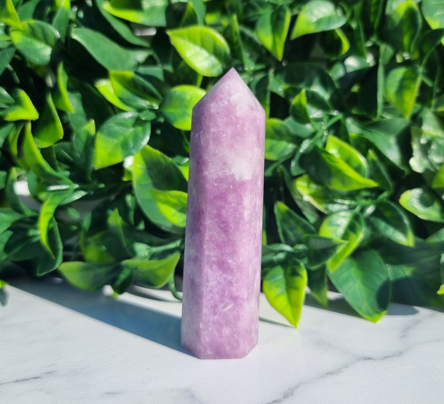 Purple Lepidolite Points