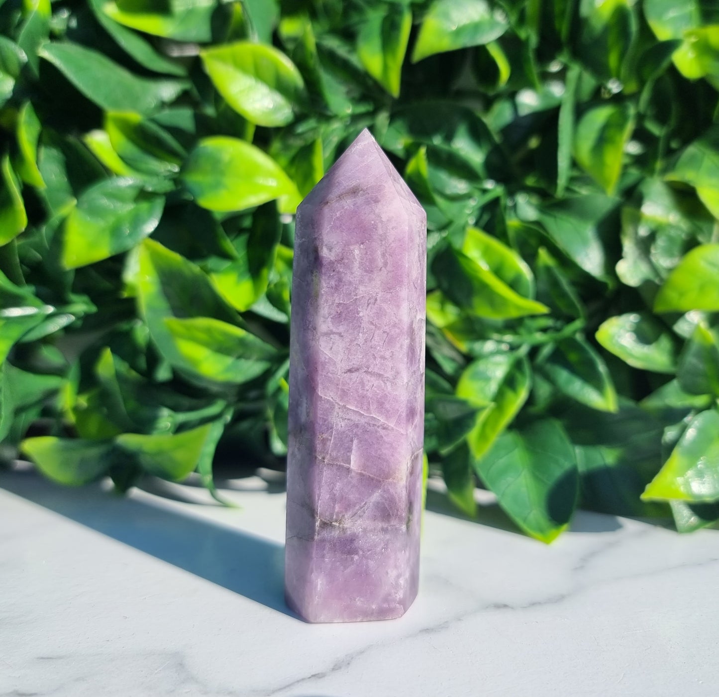 Purple Lepidolite Points