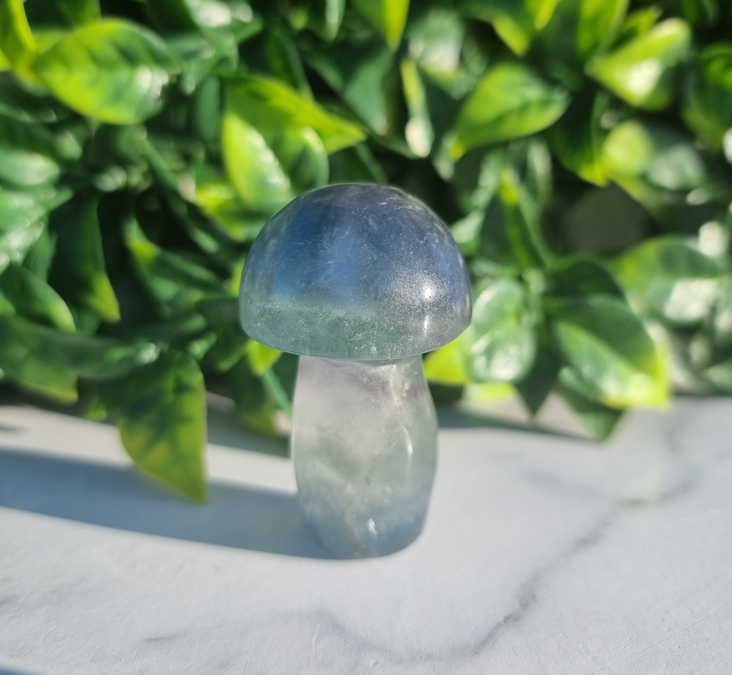 Fluorite Mushroom