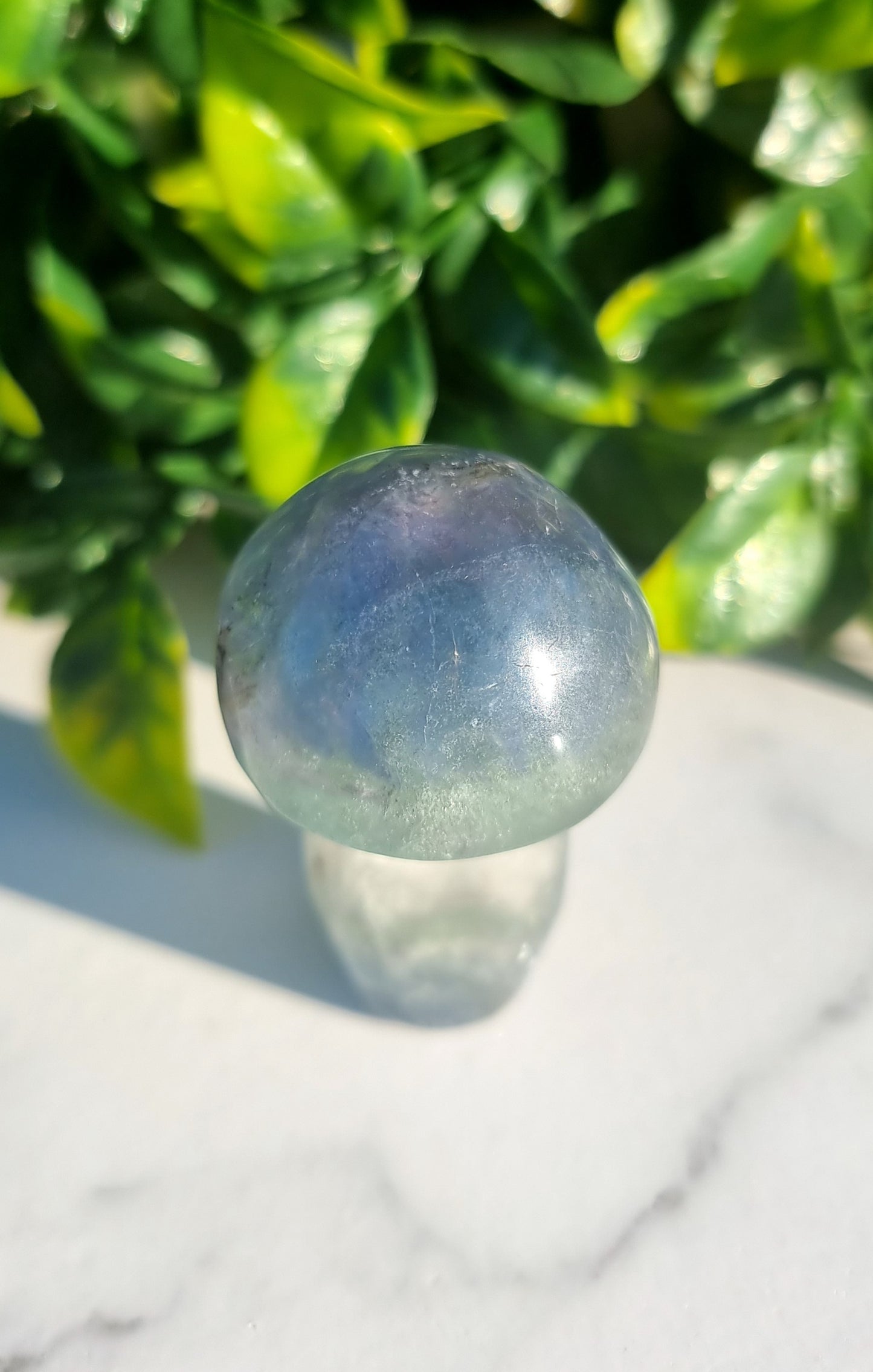 Fluorite Mushroom