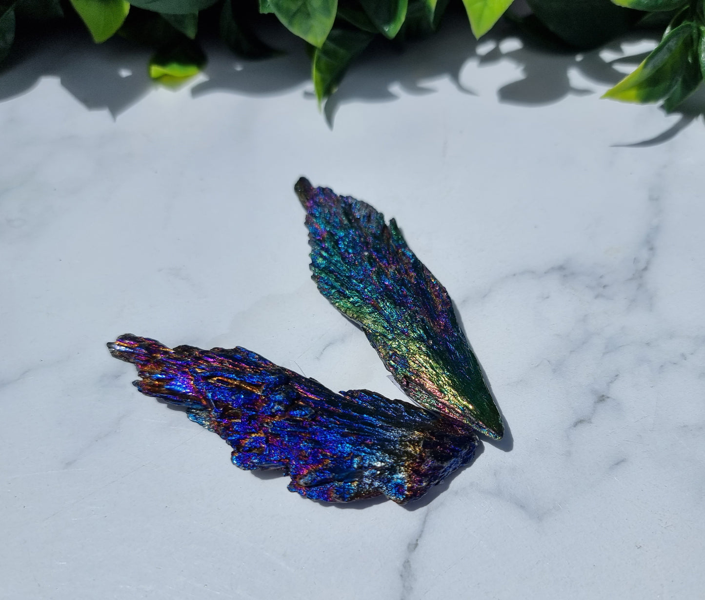 Rainbow Aura Kyanite Feather