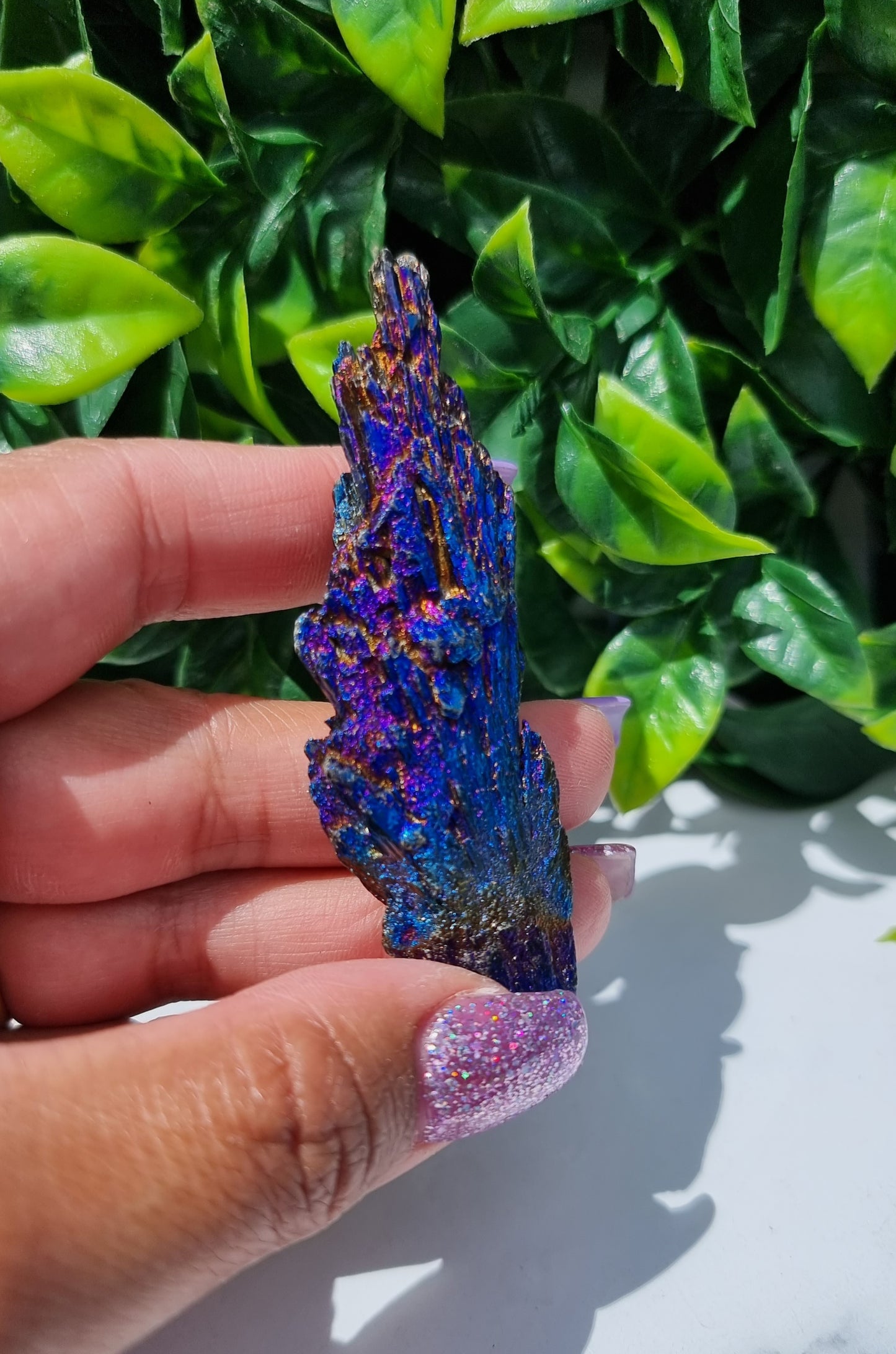 Rainbow Aura Kyanite Feather