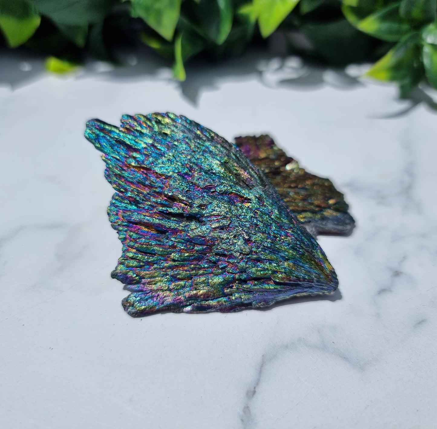 Rainbow Aura Kyanite Feather