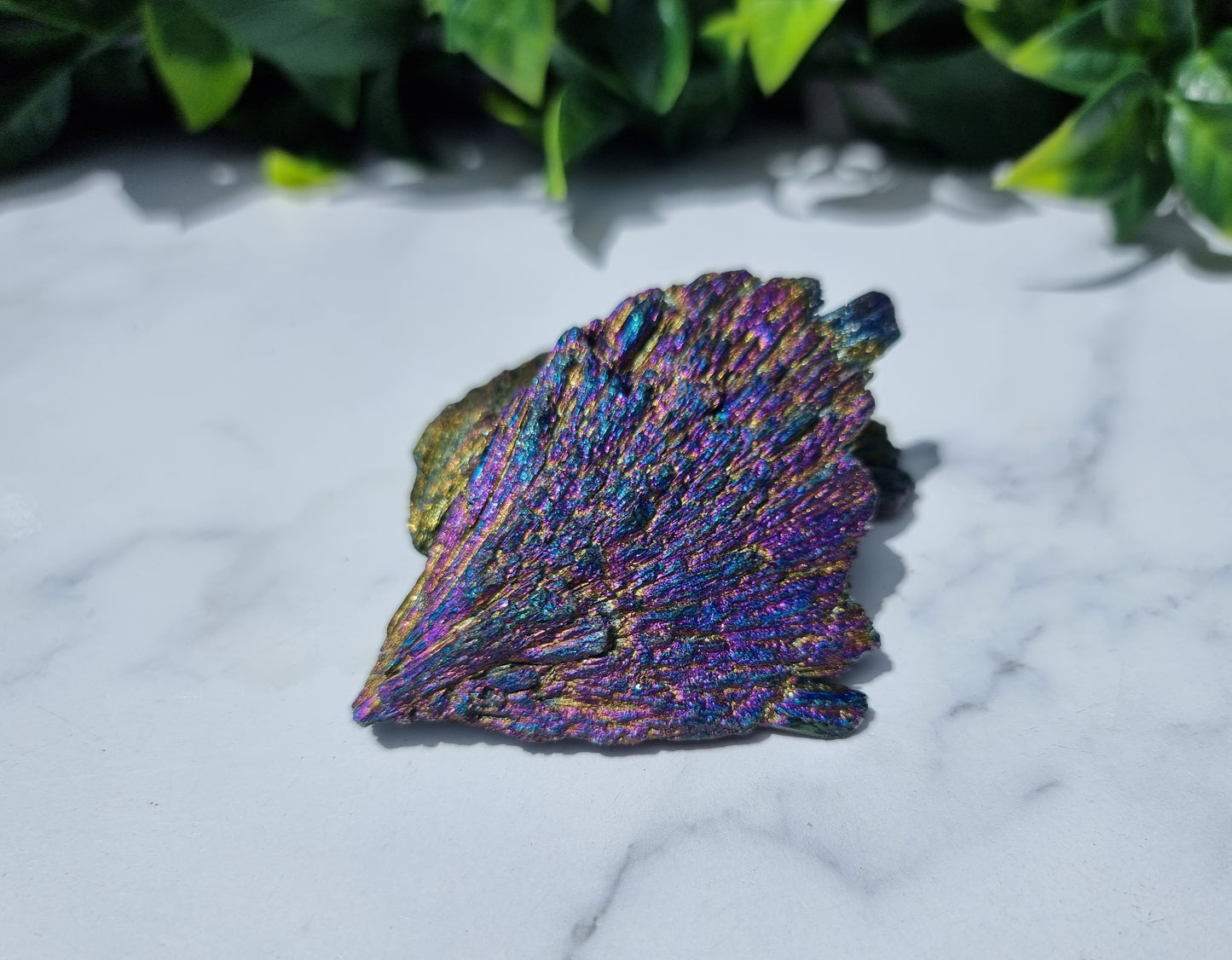 Rainbow Aura Kyanite Feather