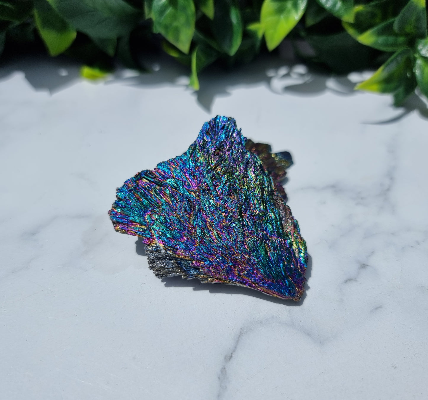 Rainbow Aura Kyanite Feather