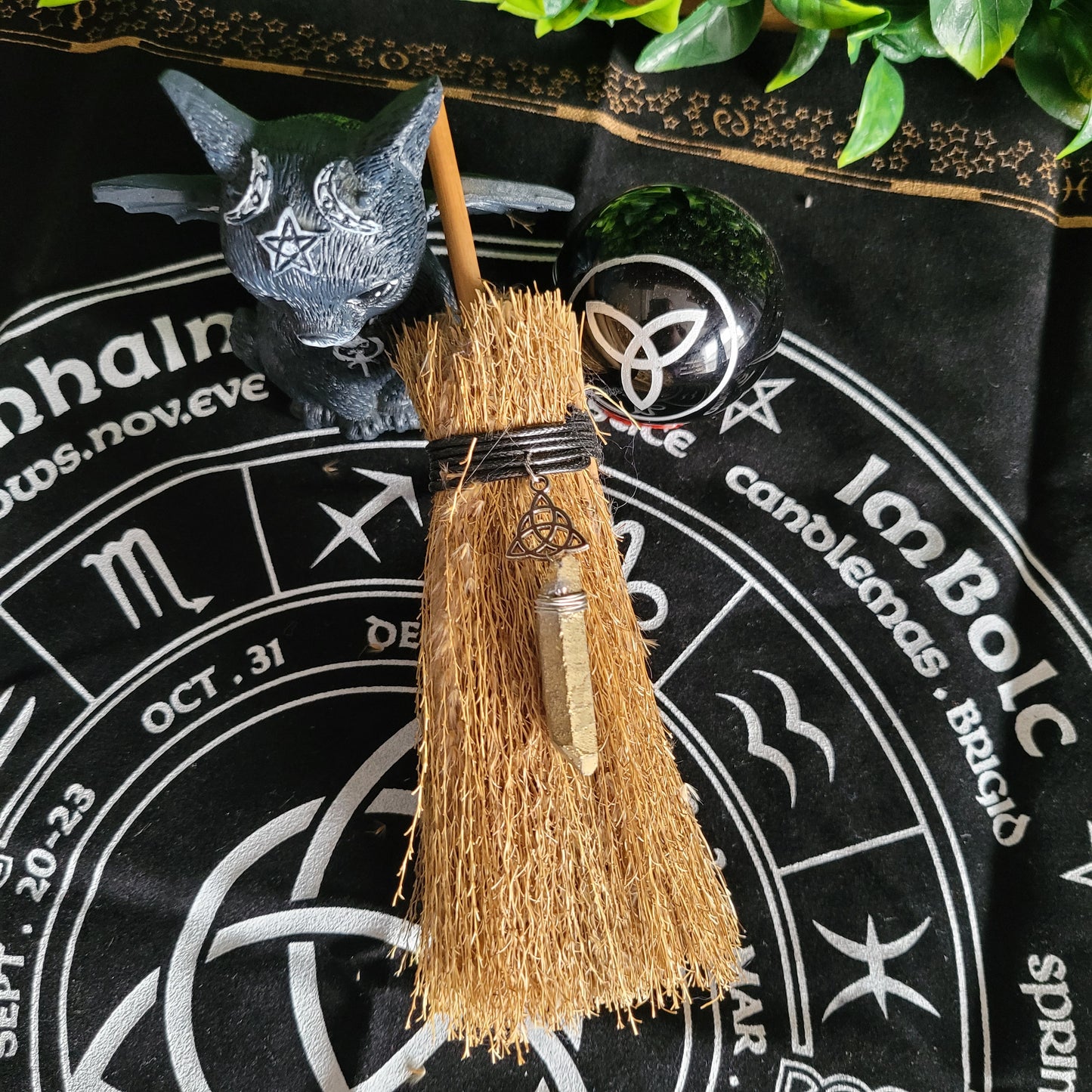 Witches Broom