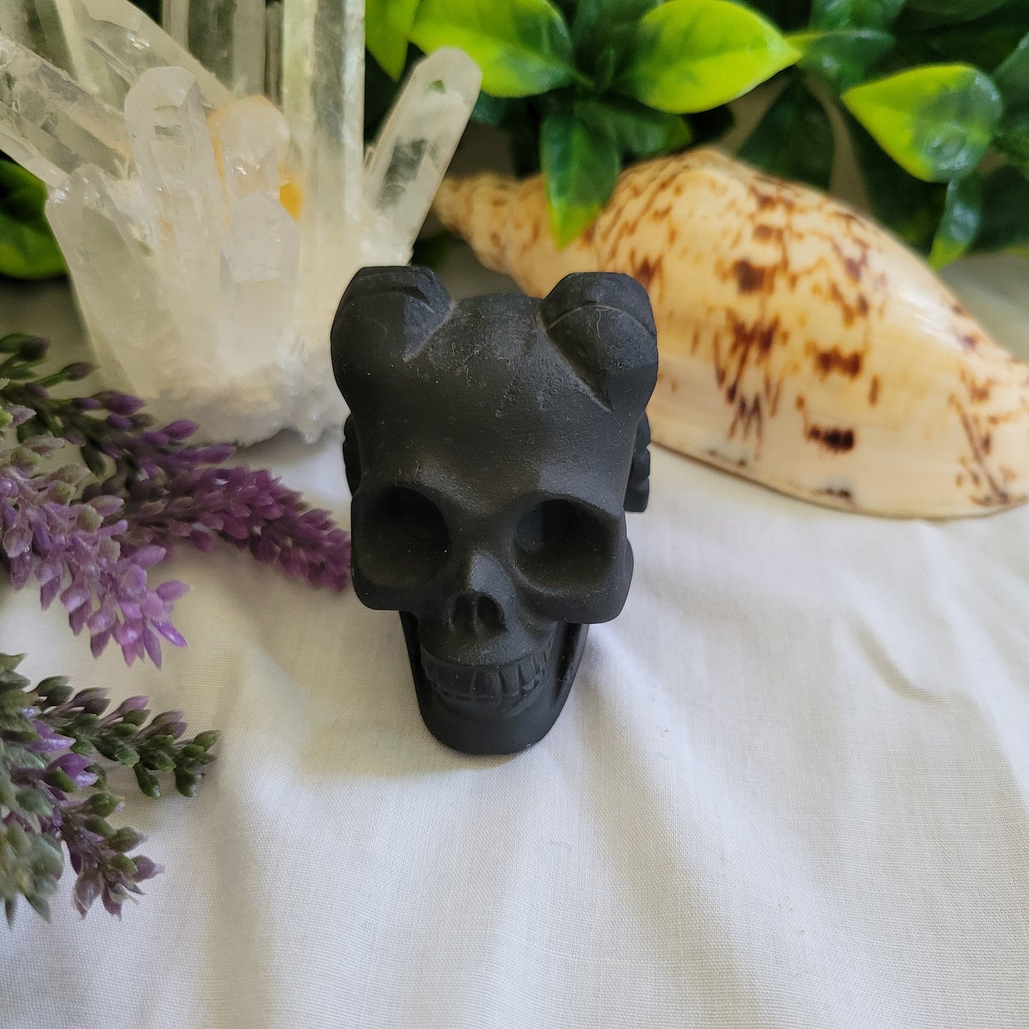 Black Obsidian Horn Skull