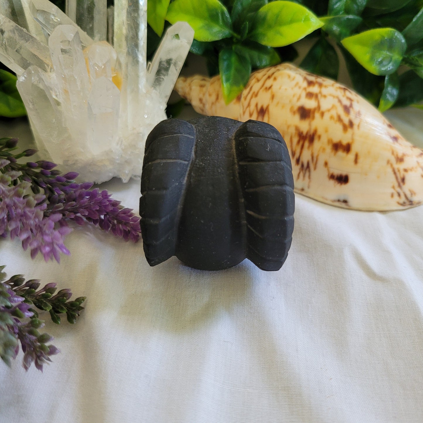 Black Obsidian Horn Skull