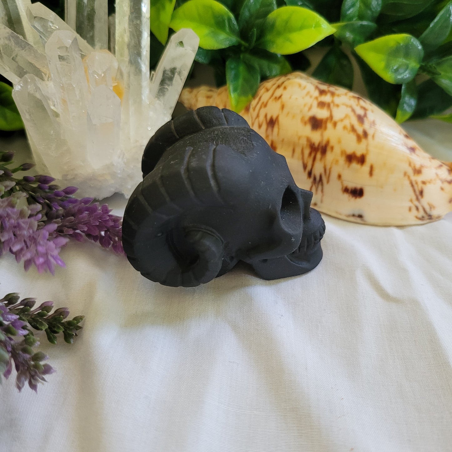 Black Obsidian Horn Skull