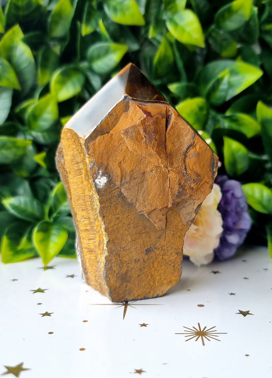 Tigers Eye Cut-Base Point