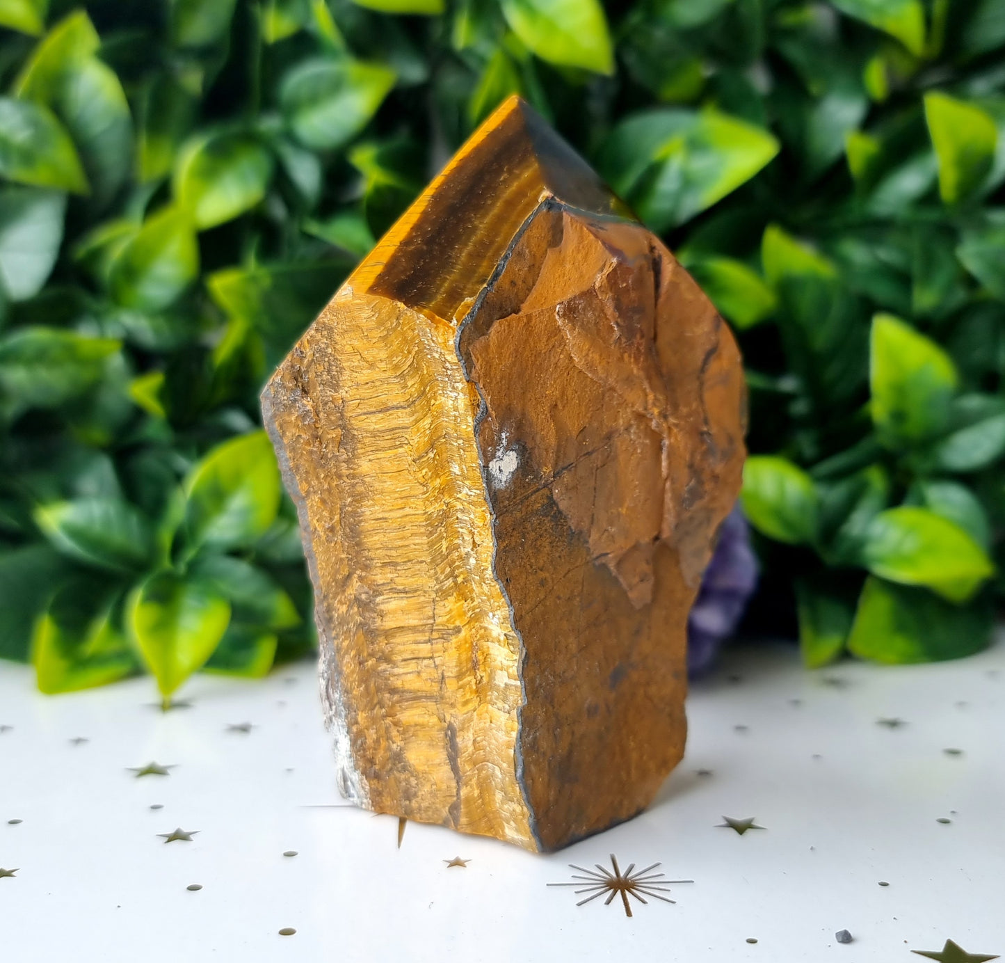 Tigers Eye Cut-Base Point