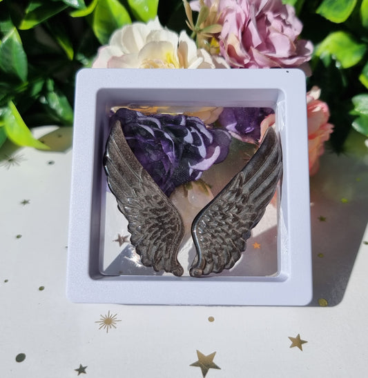 Angel Wing Set