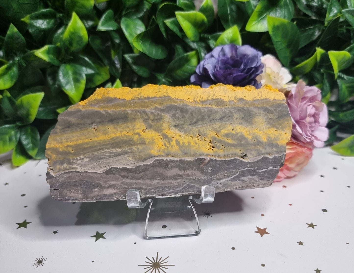 Bumble Bee Jasper Slab