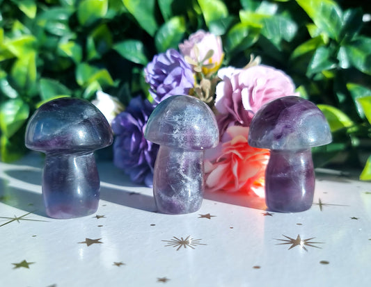 Fluorite Mushrooms